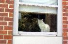 Need a pet screen?